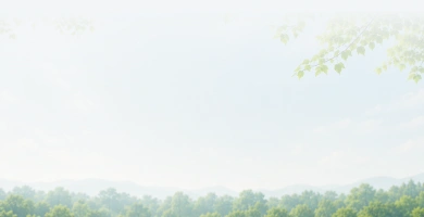form-background